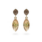 Nova Crystal Butterfly Earrings